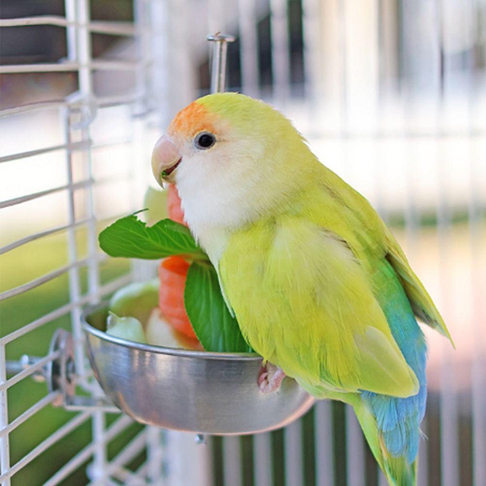 Stainless Steel Parrot Feeder Splash-Proof Vegetable Skewer Bird Food Holder  Bird Supplies