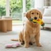 Bite-Resistant Dog Food Leakage Socks Cartoon Squeaker Dog Sound Making Socks Colorful Dog Treat Dispenser Teeth Cleaning