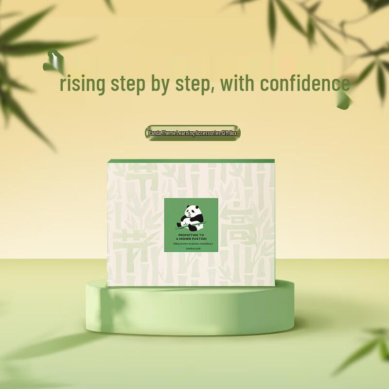 HANDUNYOU Panda Blind Box Craft Kit