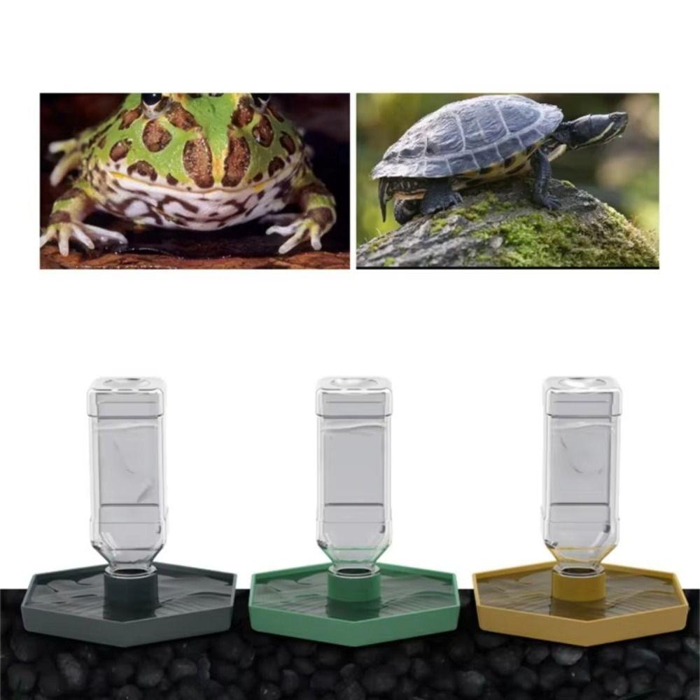 Stable Turtle Water Bowl Anti-slip Automatic Water Dispenser Lizard Food Feeder for Amphibians