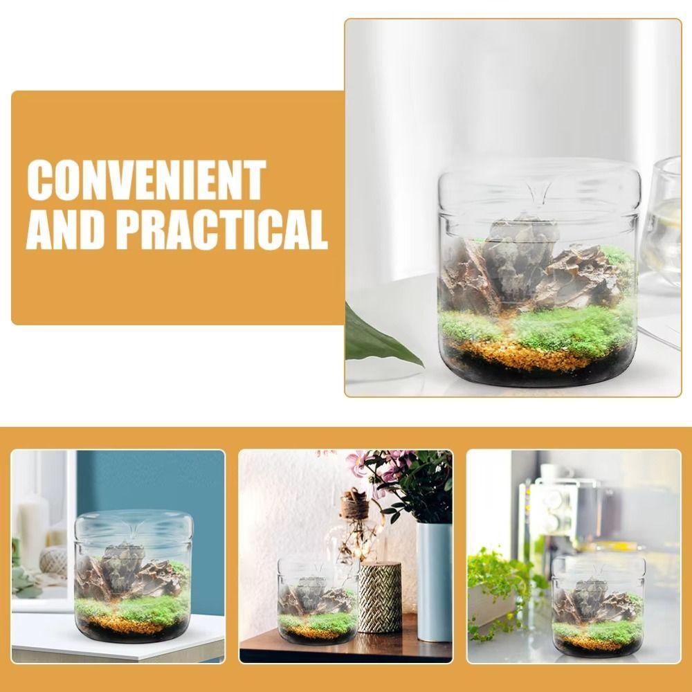 Transparent Desktop Glass Vase Cylinder Micro Landscape Moss Plant Pots Bonsai Display