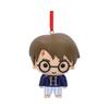 HARRY POTTER Висячий орнамент