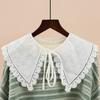 Japanese Stylish Fake Collar Dickey for Women Girls Floral Embroidered Lace White Shawl Scarf Student Necklace Capelet