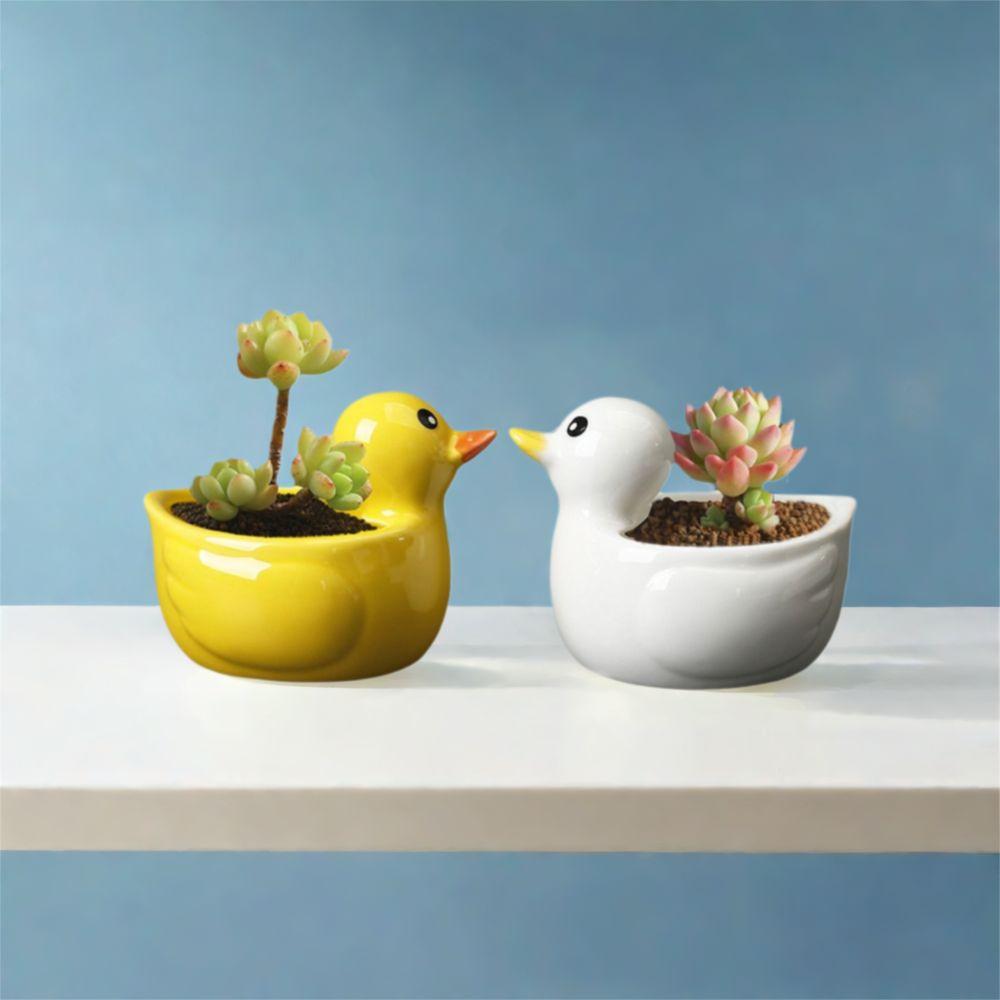 Милый суккулент, цветочный горшок, креативная гидропонная ваза, керамический цветочный горшок в виде утки, спальня