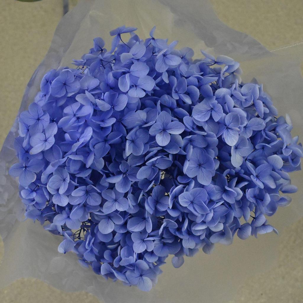 Phantom Flower: Single 20CM Preserved Hydrangea, Handmade Dried Bouquet for Decoration