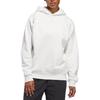 Adidas Chapter 03 - The 2024 Collection Basketball Hoodie Unisex Hoodie Light-Grey IZ4912
