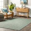 Green Jute Braided Area Rug