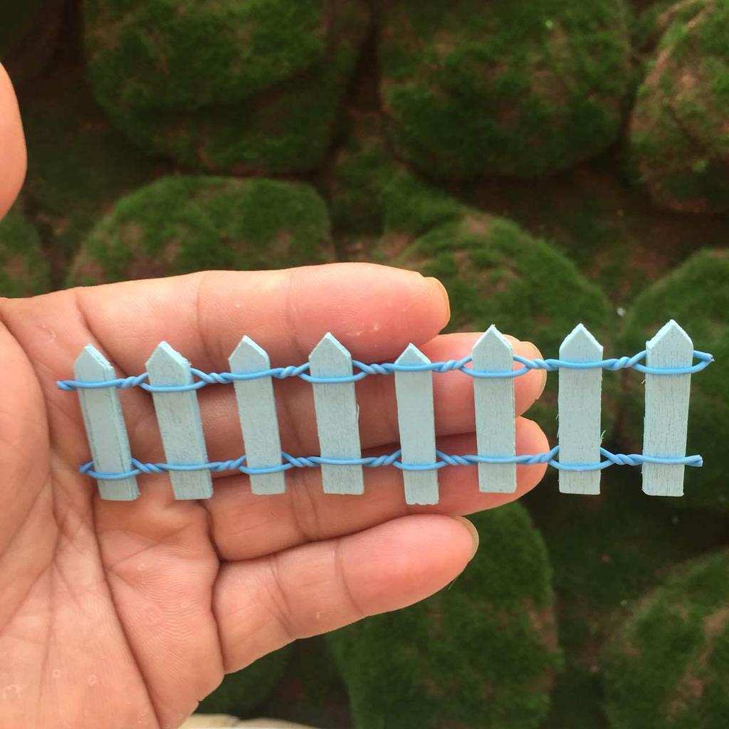 Набор из восьми мини-суккулентов на деревянном заборе