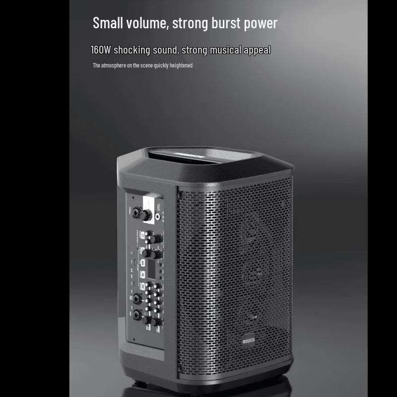 Портативная уличная KTV колонка Malata M+9570 Star Series с усилителем, штекер CN (адаптер в комплекте) (Китайская версия)