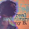 Виниловая пластинка ANTHONY B  Real Revolutionary GREL230 Greensleeves Re 1996 UK Регги Ска Даб Б/у