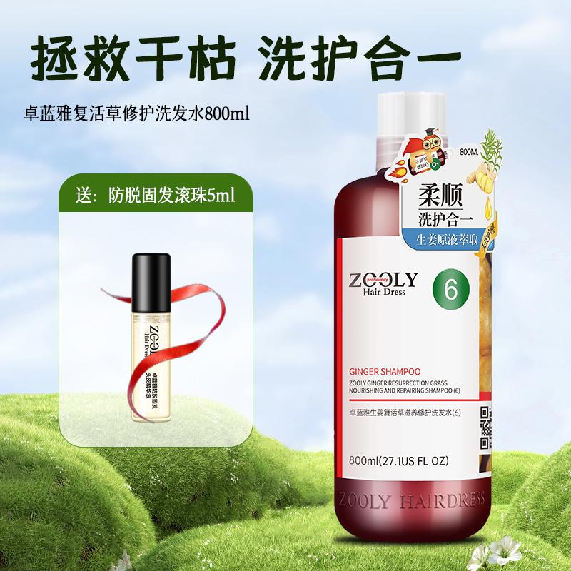 Ginger hair care 800ml, new and old, randomly sent 5ml hair fixing roller [5 effects to choose from]