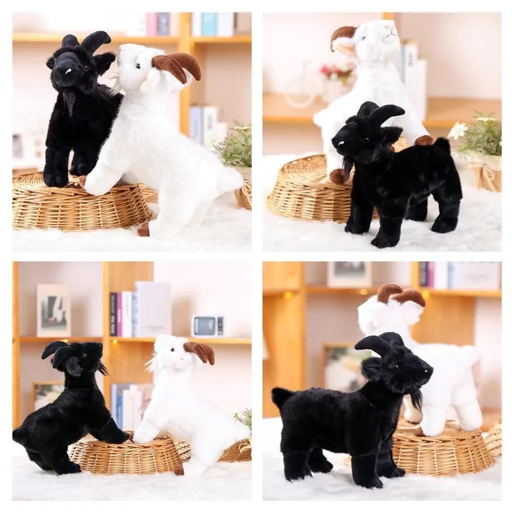 Soft Toy