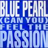 12-дюймовая пластинка BLUE PEARL - (Можешь ли ты) Почувствуй страсть BLRT67 Big Life 1991 UK Танцевальная и электронная Б/У