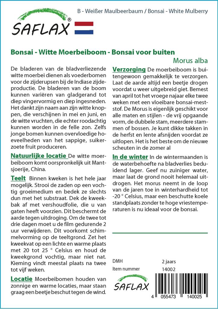 SAFLAX Бонсай - Белая шелковица - 200 семян - С горшечным субстратом для лучшего выращивания - Morus alba