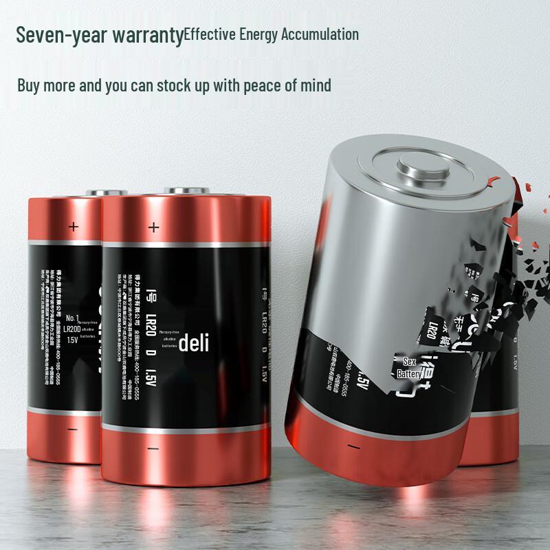 Deli LH100 D-Cell Alkaline Battery CN plug (adapter included)