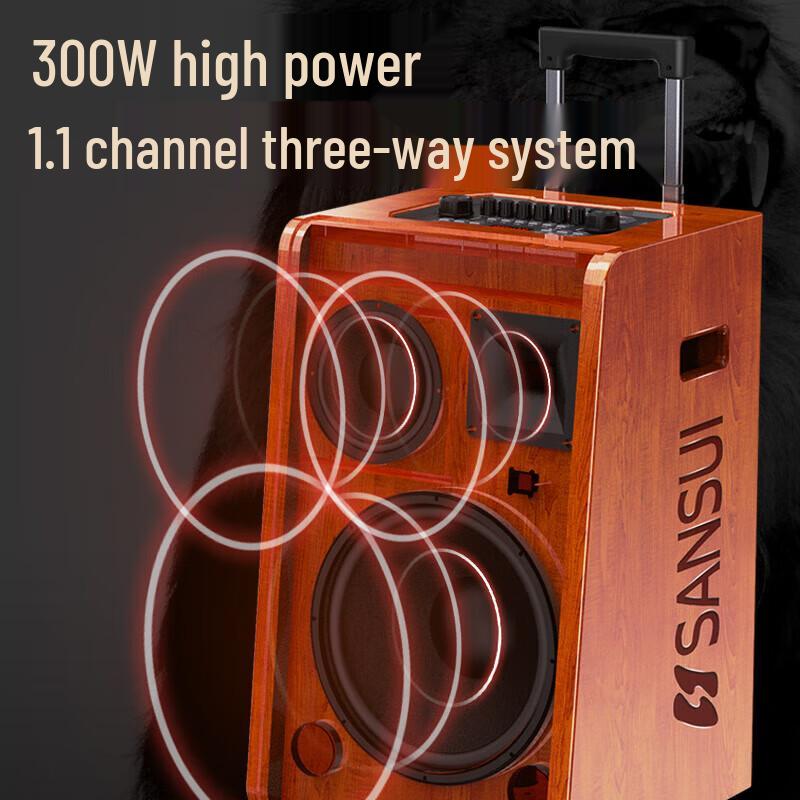 SANSUI G-Series Portable Karaoke Bluetooth Speaker (CN version)