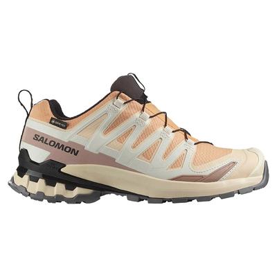 Кроссовки для трейлраннинга XA Pro 3D V9 Goretex