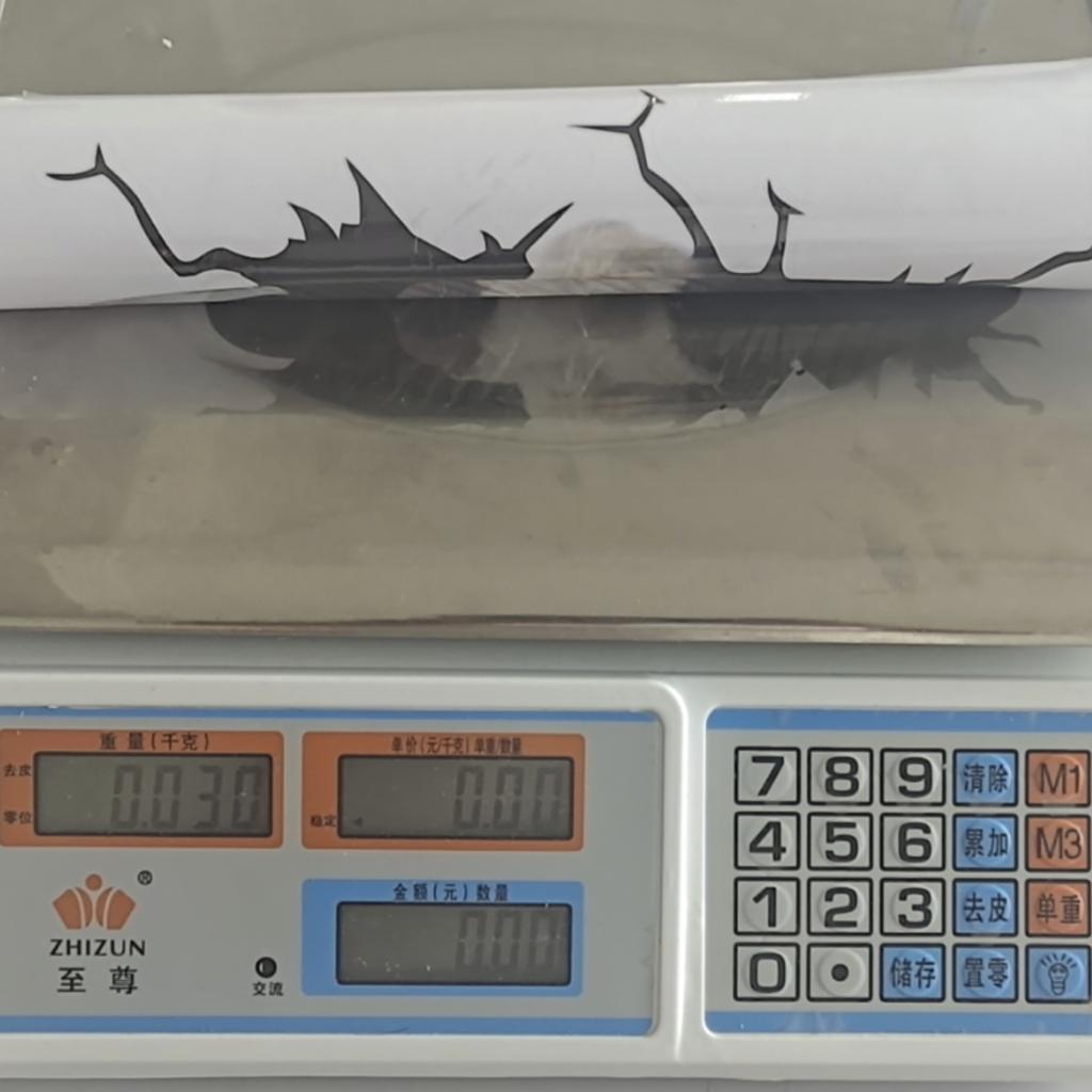 3D Dog Crack Sticker PVC Plastic Sticker Car Window Decal Laptop Funny Decals