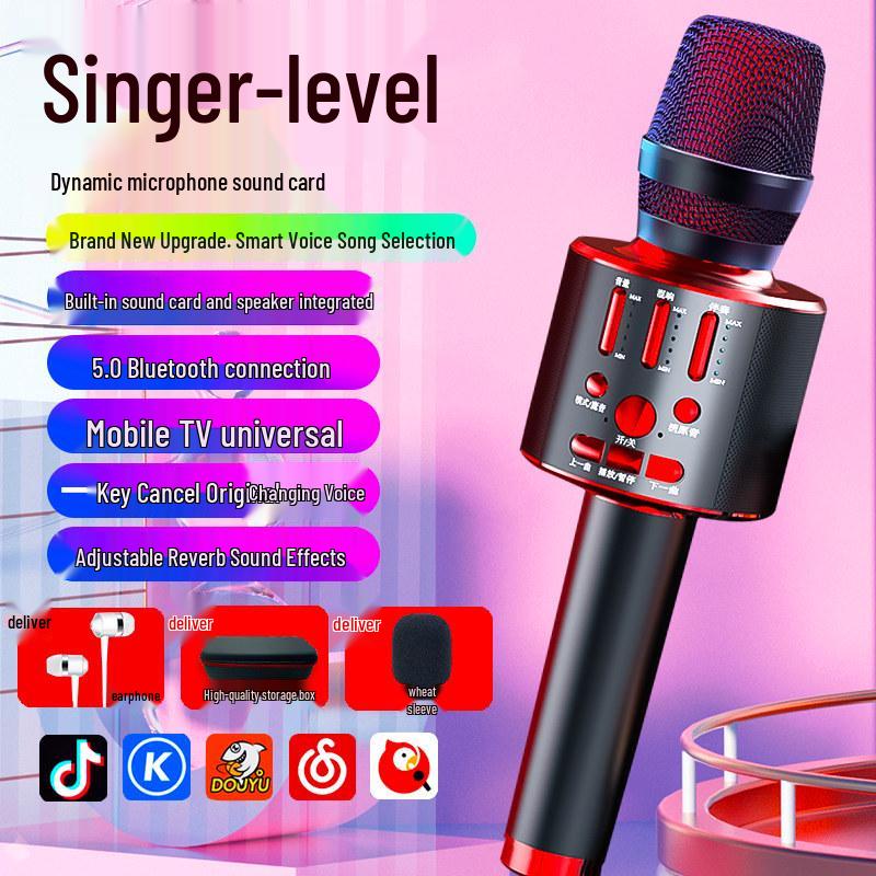 Wireless Bluetooth K-Song Microphone & Speaker with Built-in Sound Card for TV and Mobile