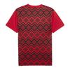 Puma Mens Prematch The Pharaohs Football Shirt