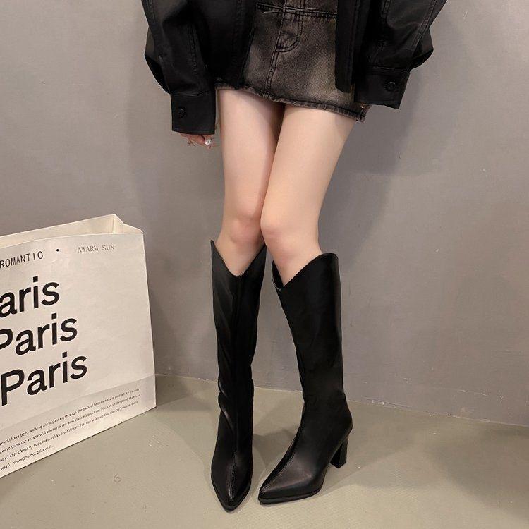 Trend sexy fairy pointed wind high boots commuter thick heel light mature boots autumn and winter intellectual style French fashion