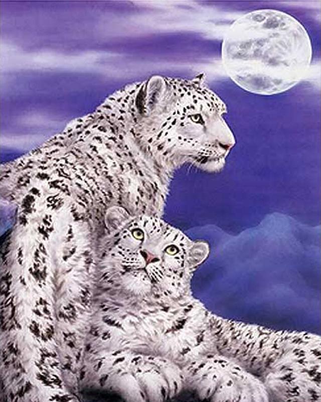 Набор для алмазной живописи животное 5D DIY Алмазная вышивка Белый тигр картинки из стразов мозаика распродажа набор для рукоделия