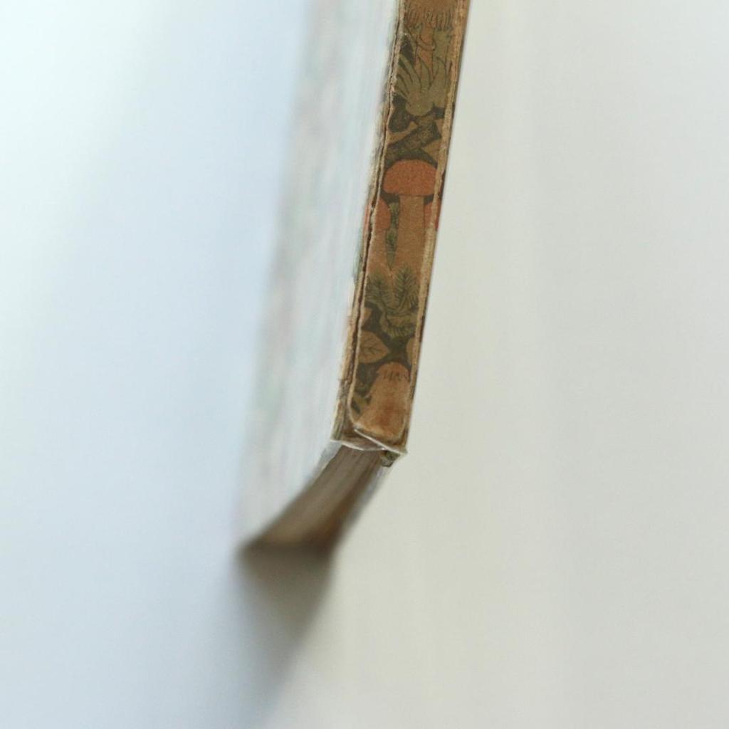 [Б/У] Германия Insel Library 503 Книга-гриб