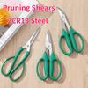 1/3PCS Gardening Shears Flower Branch Scissors Stainless Steel Branch Scissor Flowers Shop Scissors Pruning Tool Garden Scissors