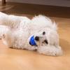 New Squeaky Balls Interactive Toys