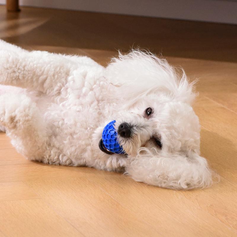New Squeaky Balls Interactive Toys