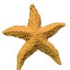2шт аквариум орнамент средиземноморской смолы мини морская звезда украшение для аквариума