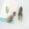 A Variety Of Original Color Wild Feathers Diy Handmade Material Earrings Teasing Cat Stick Indian Head Jewelry Decorative Feathers