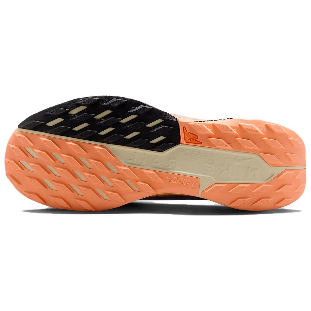 Nike Кроссовки Pegasus Trail 5 GORE-TEX Ghost Orange Pulse Женские Серый Солод Черный FQ0912-011