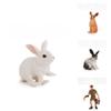 Farm Rabbit Scene Pvc Miniature With Standing And Sitting Rabbits For Micro Landscape Decor