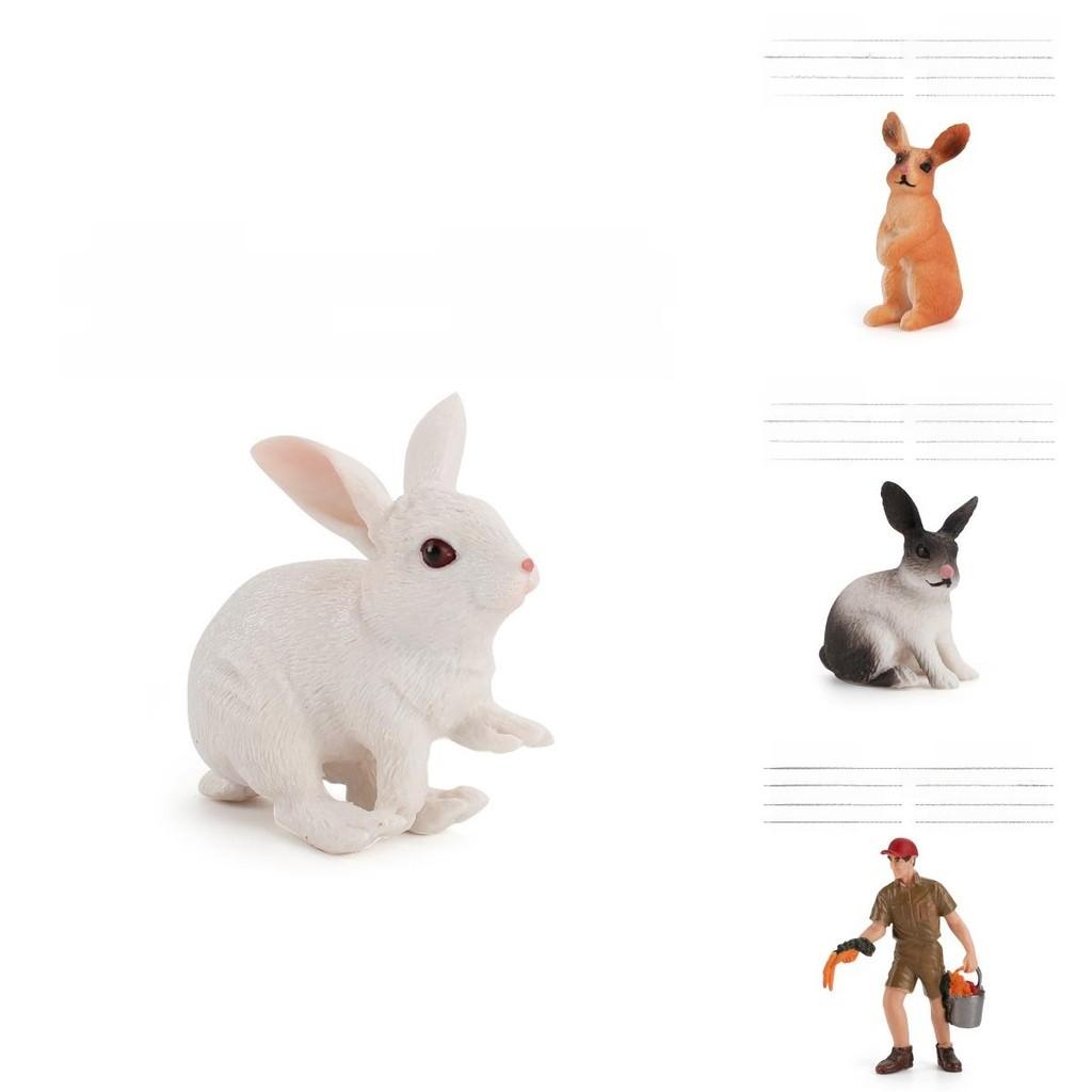Farm Rabbit Scene Pvc Miniature With Standing And Sitting Rabbits For Micro Landscape Decor