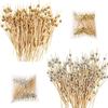 200-Piece Cocktail Picks, Toothpicks for Appetizers, Handmade Wooden Decorative Toothpicks, Multika Wooden and Bamboo Toothpicks, Set of Fruit Picks,