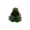 Breathable Frog Succulent Plant Pots Resin Plant Planter Durable Frog Flower Pot  Indoor