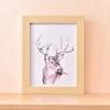 Simple Colorful Photo Frame Multi Size Drawings Picture Frame Handcraft DIY Display Holders Decoration