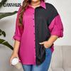 Spring and Autumn Women's Temperament Elegant Daily Commuter Long Sleeve Lapel Colorblocking Blouse Plus Size Shirt