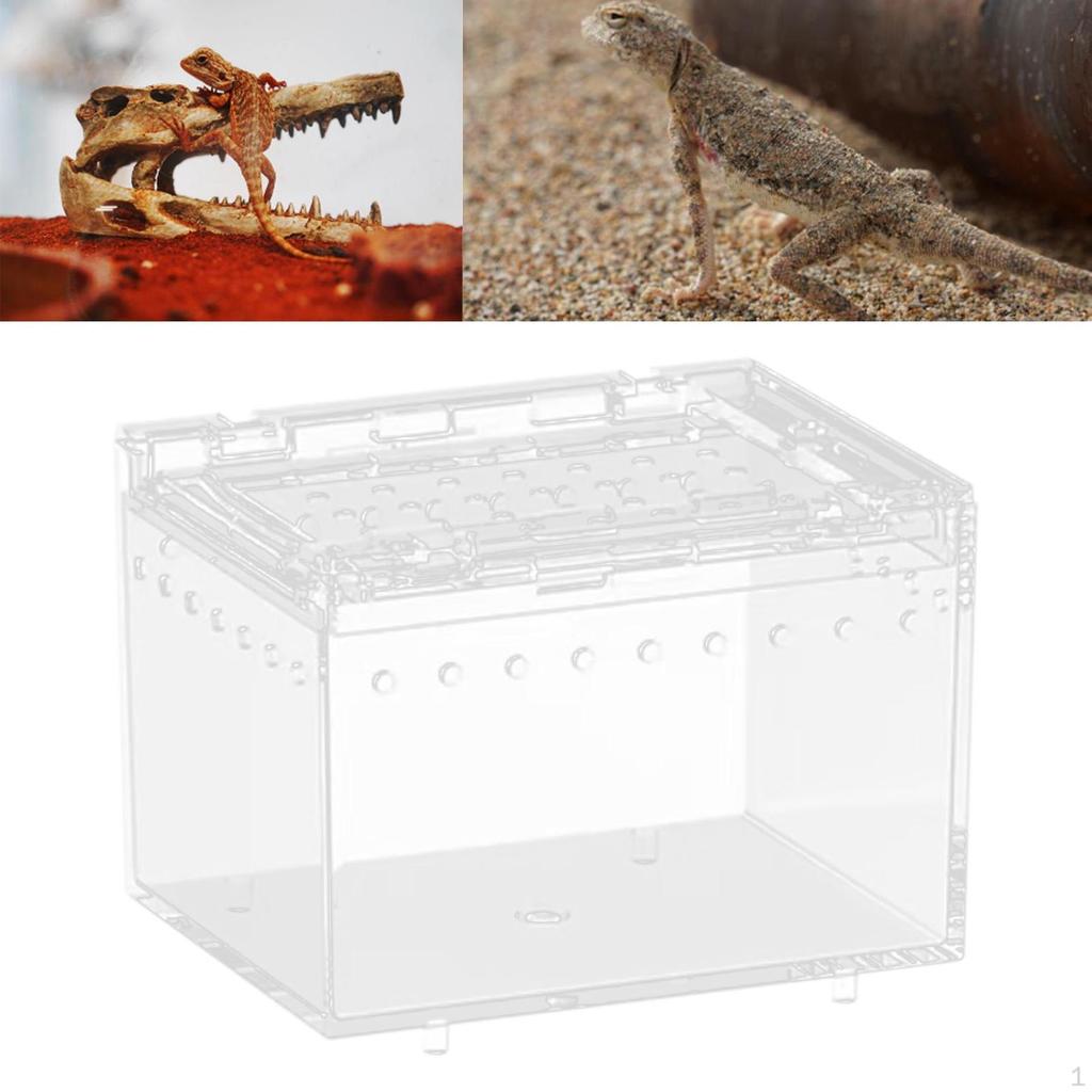 Portable Reptile Habitat Box for Chameleons And Snakes