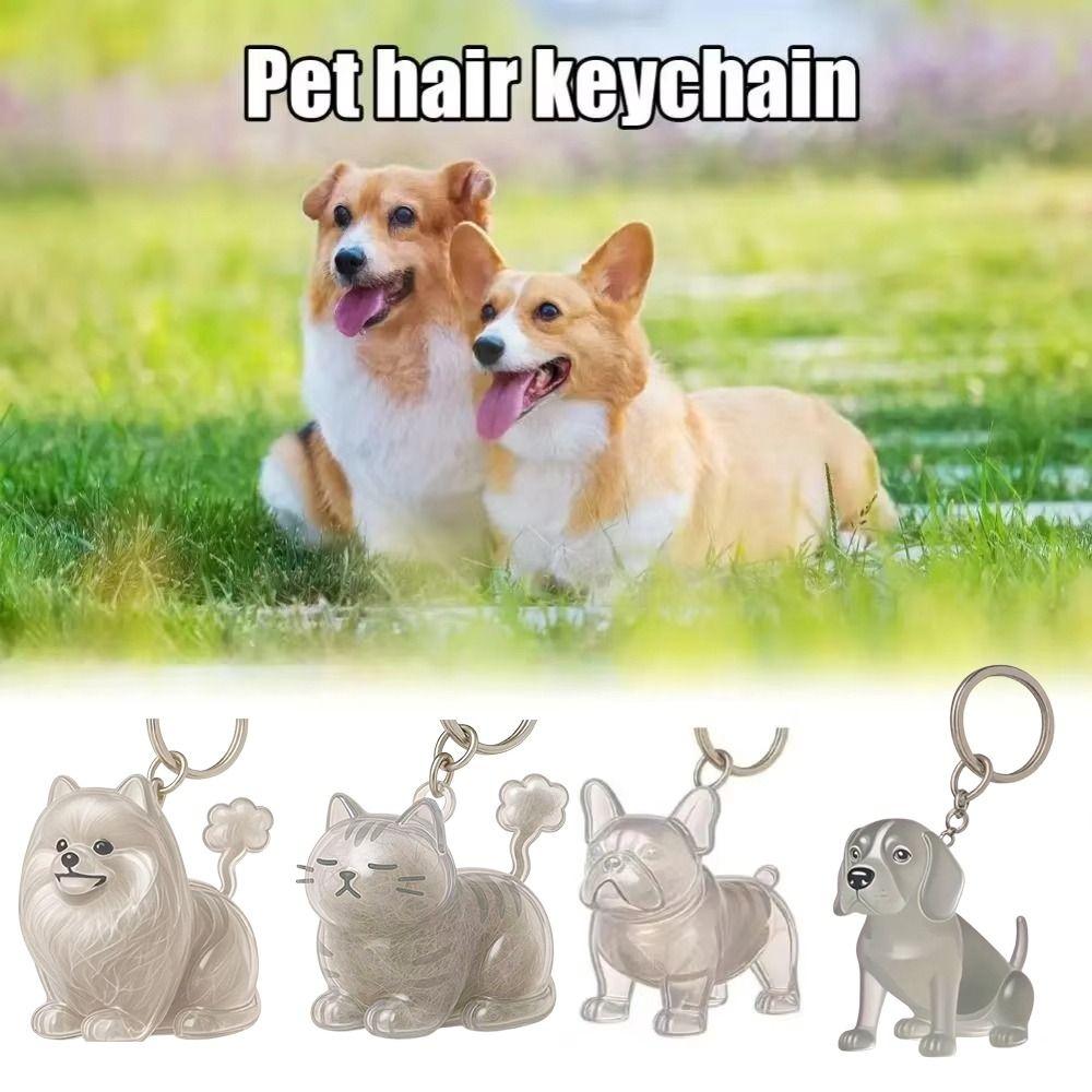Transparent Pet Hair Keychain Dog Shape Puppy Pendants Cartoon Dog Hair Storage Box  Jewelry Gift