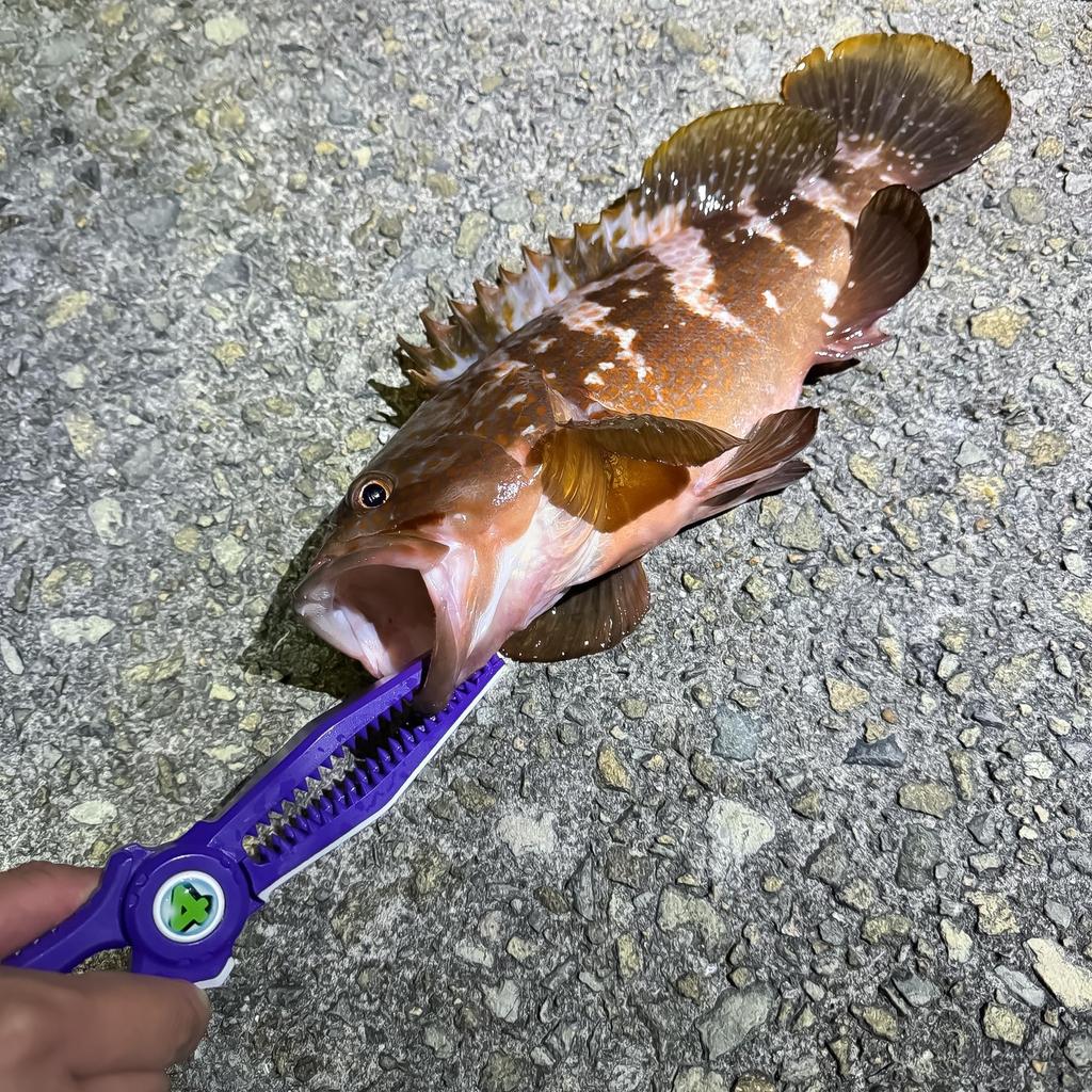 Платье x Umi Monogatari Ura Shark Акулий захват Коллаборация Захват для рыбы Рыболовные плоскогубцы Сверхлегкий 75 г Суперпрочный захват