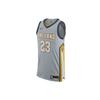 NBA Authentic Jersey Vest City Edition - Cleveland Cavaliers LeBron James No. 23 Мужские спортивные майки серые AH6048-007