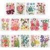 Filling Materials Jewelry Making Beauty Decal Resin Filler Resin Mold Filling Flower Dried Flowers