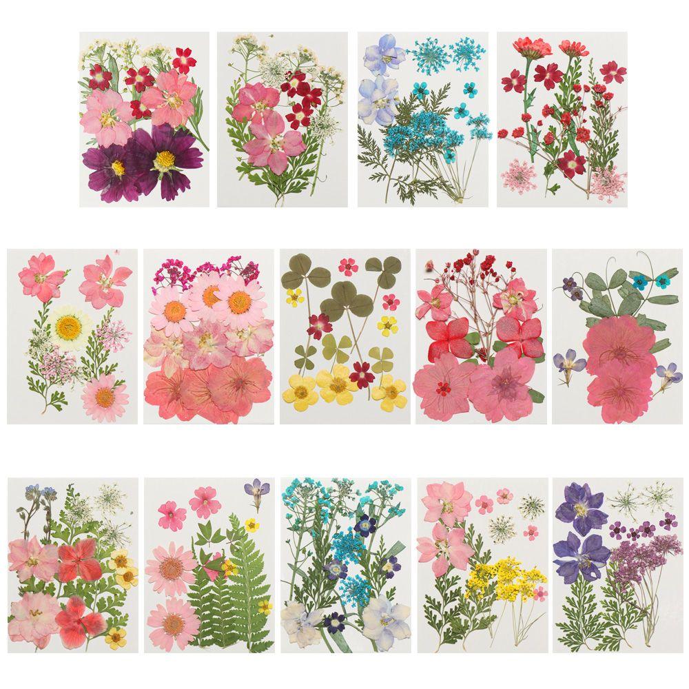 Filling Materials Jewelry Making Beauty Decal Resin Filler Resin Mold Filling Flower Dried Flowers