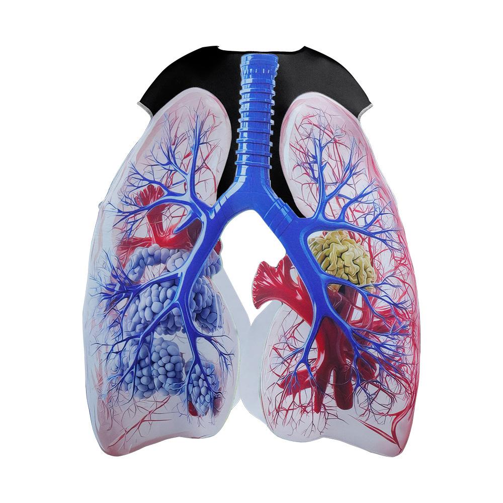 Human Organ Costume Sponge Suit Jumpsuit Brain Liver Uterus Heart Cosplay Emotional Organ Theme Party Attire Halloween Costume