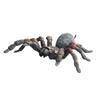 Tricky Toy Spider Model Toy Halloween Scary Prop Simulation Spider Figurines Spider Action Figures