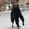 Зимняя одежда для больших собак Теплая Ветрозащитная Утепленная Четырехлапая Одежда для Щенков Грейхаунд Уиппет Аксессуары Товары для Собак