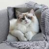 Красочная богемная наволочка из короткого плюша 45x45см Очаровательный котенок Декор для гостиной спальни (Вставка для подушки не входит в комплект)