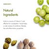 Kapiva Organic Triphala Powder Digestive Wellness Support For Daily Balance Natural Herbal Drink Mix 100 g Pack Of 2